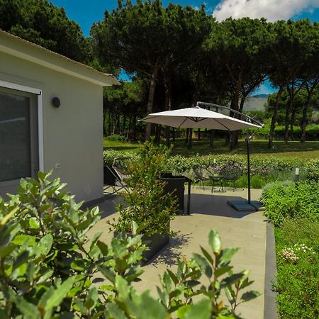 Bosco Mattavona Bed & Breakfast Boscotrecase Bagian luar foto