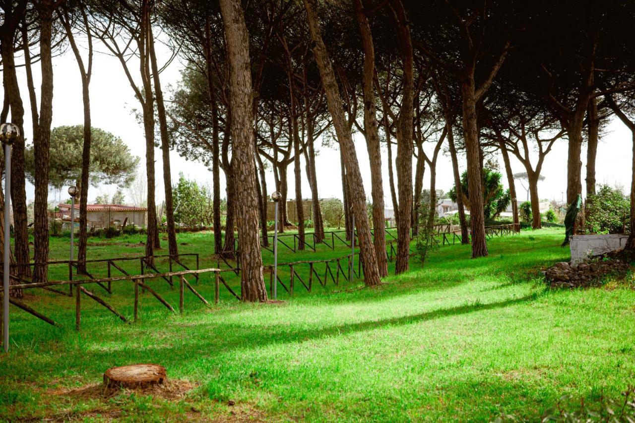 Bosco Mattavona Bed & Breakfast Boscotrecase Bagian luar foto