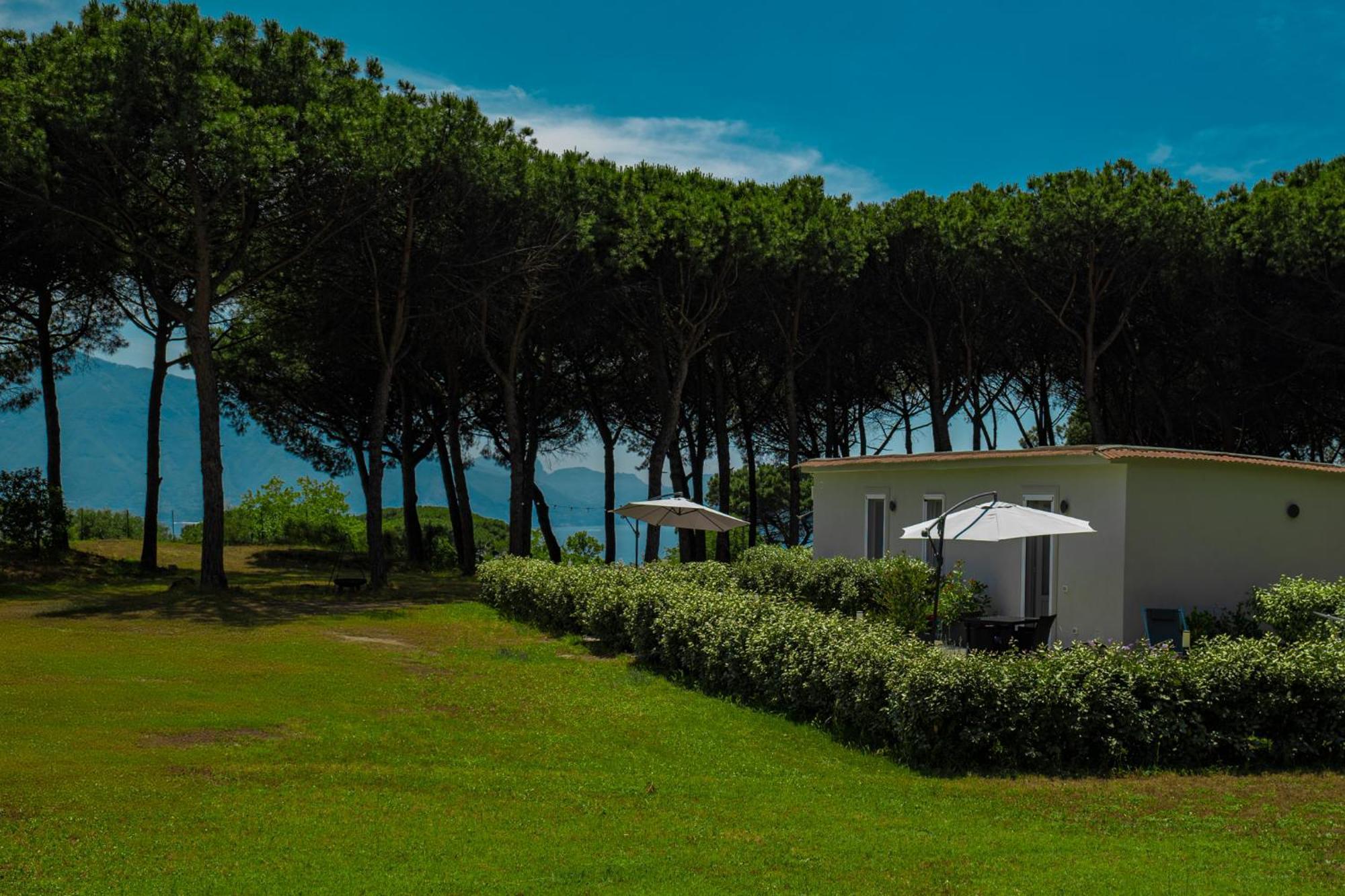 Bosco Mattavona Bed & Breakfast Boscotrecase Bagian luar foto