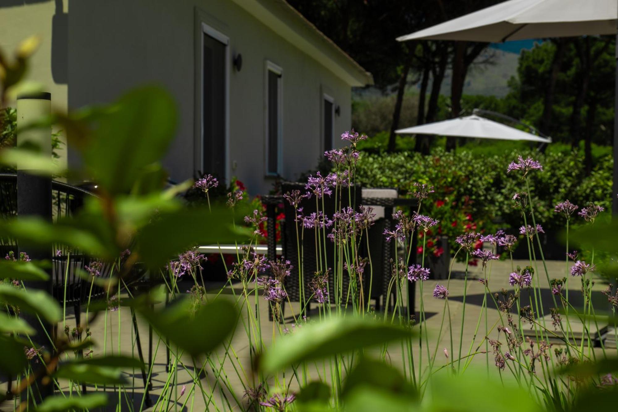 Bosco Mattavona Bed & Breakfast Boscotrecase Bagian luar foto
