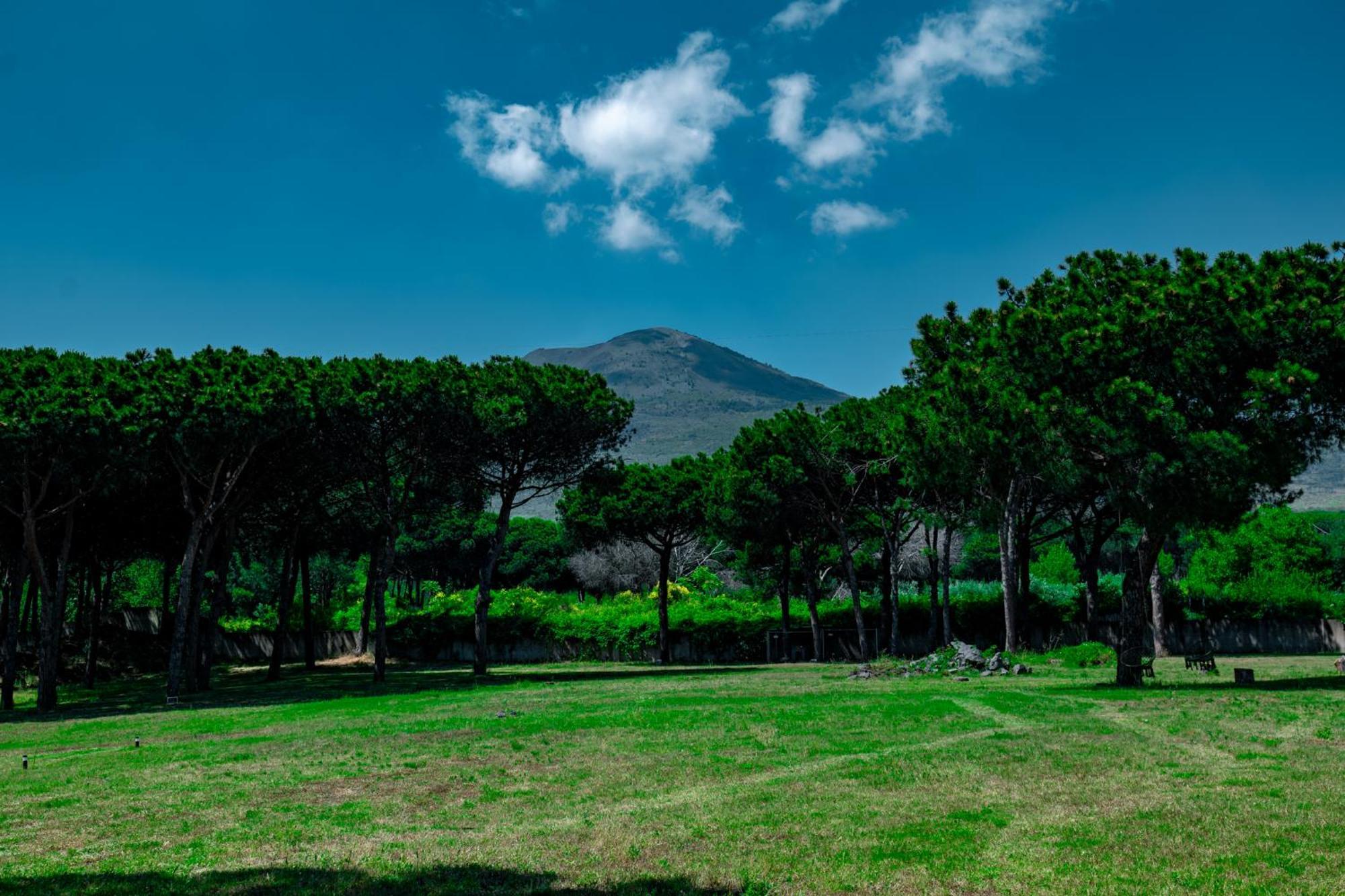 Bosco Mattavona Bed & Breakfast Boscotrecase Bagian luar foto
