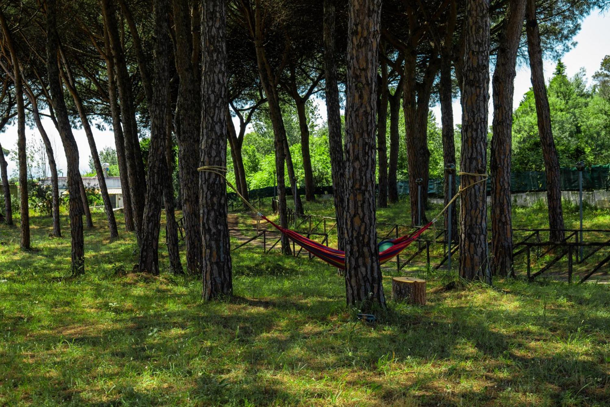 Bosco Mattavona Bed & Breakfast Boscotrecase Bagian luar foto