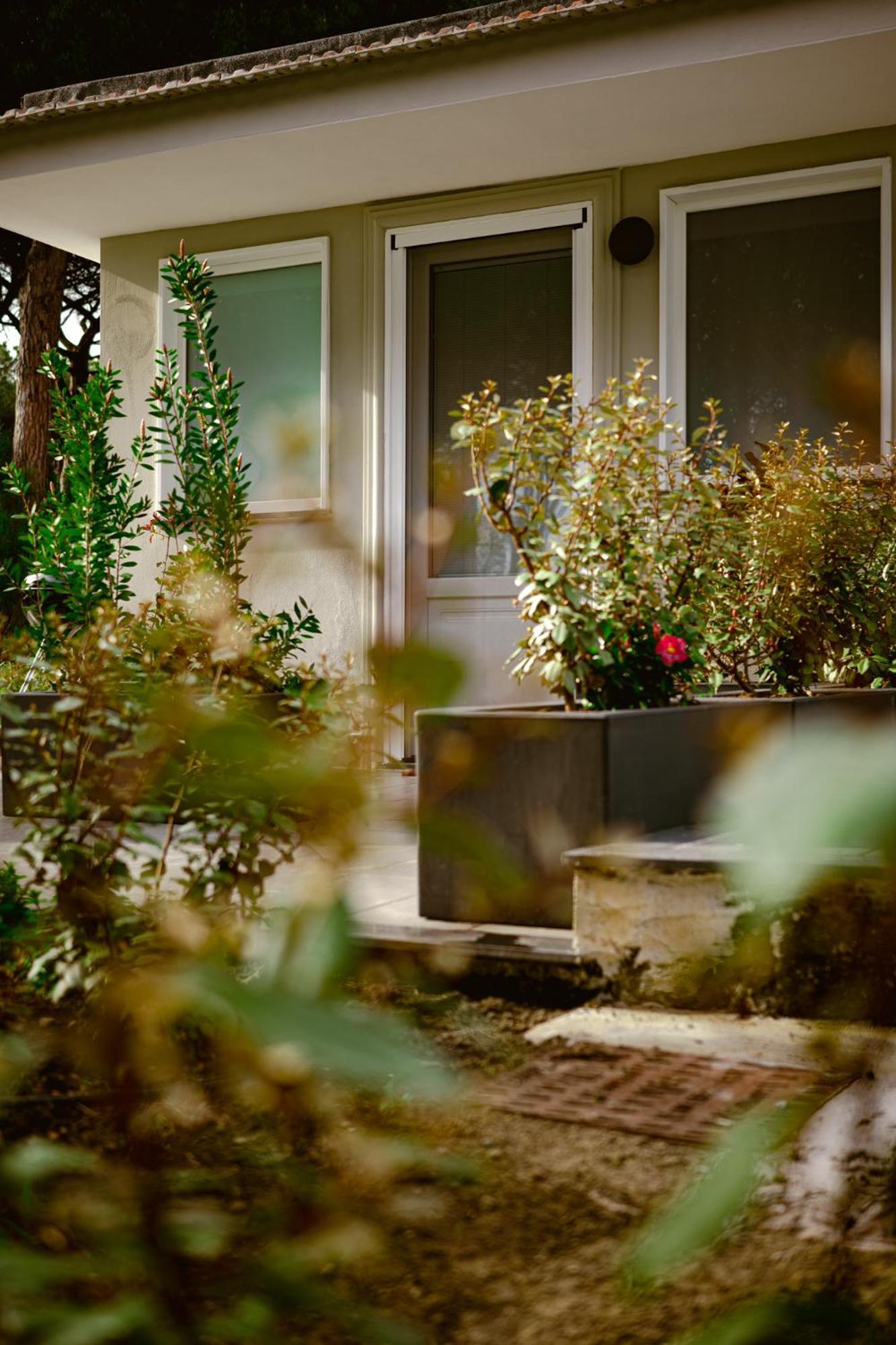 Bosco Mattavona Bed & Breakfast Boscotrecase Bagian luar foto